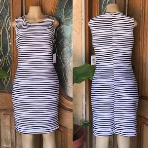 NEW Calvin Klein Midi Dress Size 12